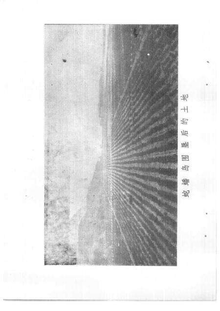 1990-三门文史资料  第4辑.pdf电子版_浙江省志预览图2