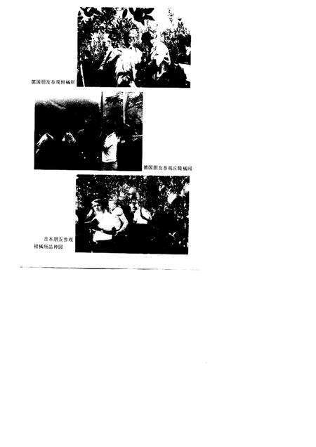 1997-衢州柑桔志.pdf电子版_浙江省志预览图2