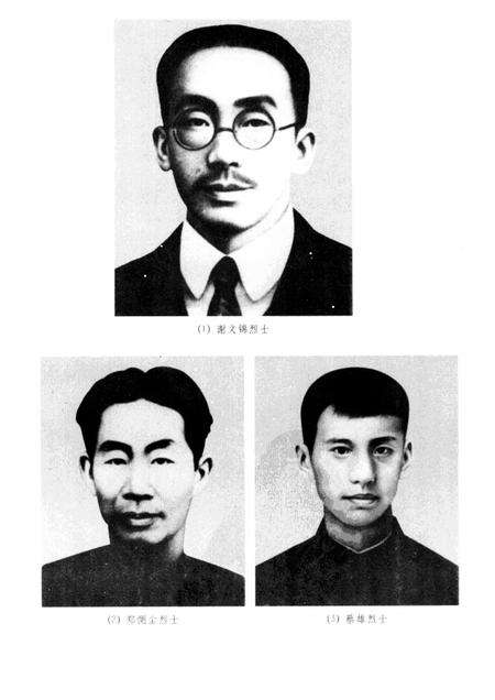 1998-中共温州独立支部与国民革命运动.pdf电子版_浙江省志预览图2