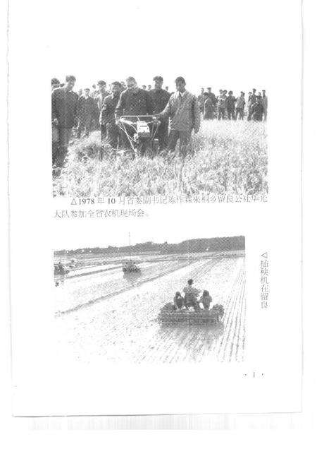 1999-桐乡文史资料  第18辑  桐乡历史图片资料  1.pdf电子版_浙江省志预览图2