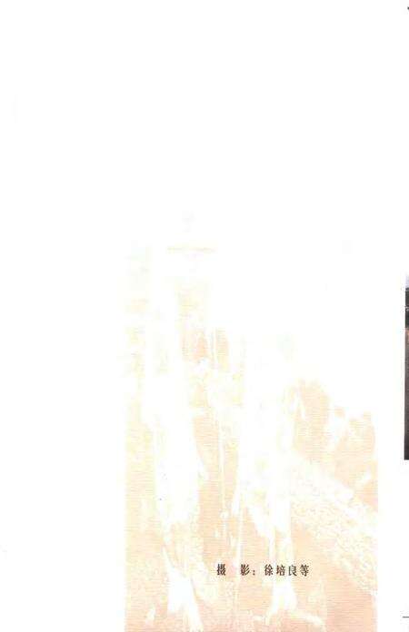 2005-宁海民俗.pdf电子版_浙江省志预览图2