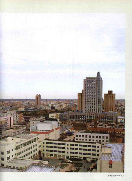 东营区年鉴2004.pdf电子版_山东省志预览图2