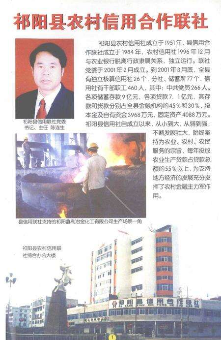 中共祁阳党史大事记.pdf电子版_湖南省志预览图2