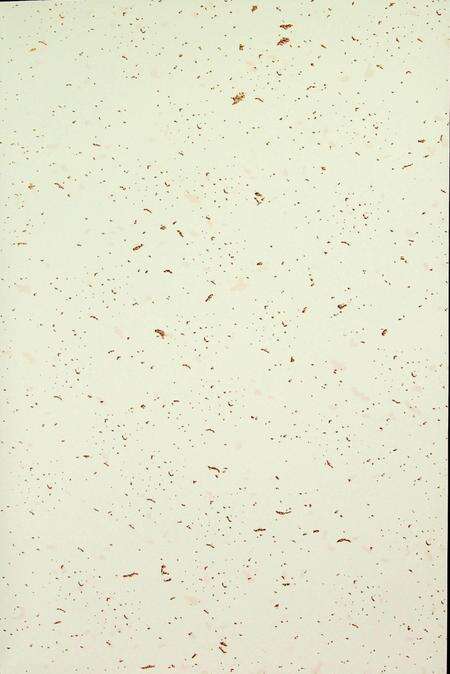 中国共产党和龙历史第一卷（1921~1949）.pdf电子版_吉林省志预览图2