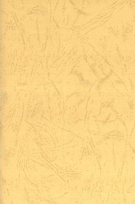 中国共产党安仁历史第一卷1921-1949.pdf电子版_湖南省志预览图2