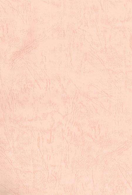 中国共产党湘潭历次代表大会资料简介.pdf电子版_湖南省志预览图2