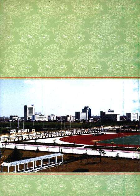 中牟县志（1991-2000）.pdf电子版_河南省志预览图2