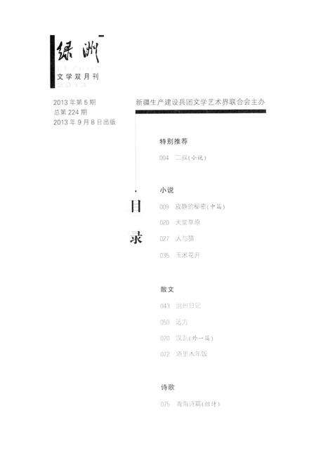 新疆绿洲2013年第05期.pdf电子版_新疆维吾尔族自治区志预览图3