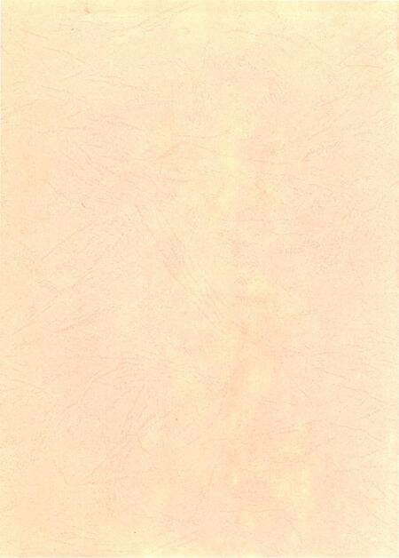 信阳年鉴2004.pdf电子版_河南省志预览图3