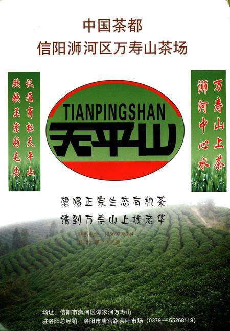 信阳论茶.pdf电子版_河南省志预览图3