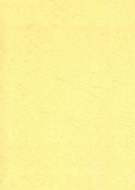 北湖区军事志（1840-2005）.pdf电子版_湖南省志预览图3