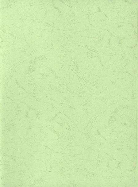 华龙年鉴2013.pdf电子版_四川省志预览图3