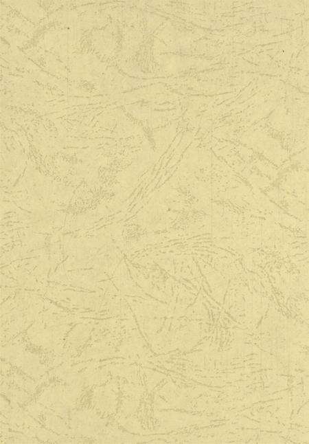 卫东年鉴2008.pdf电子版_河南省志预览图3