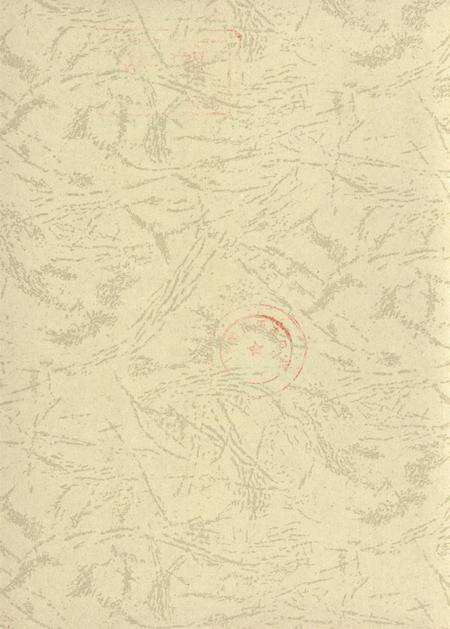 台前年鉴2008.pdf电子版_河南省志预览图3