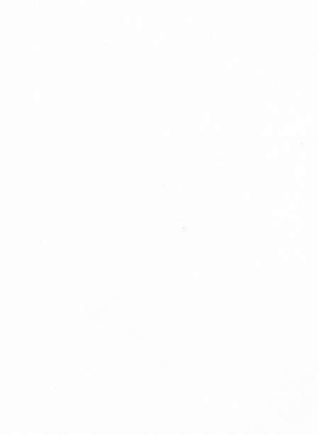 台前年鉴2015.pdf电子版_河南省志预览图3