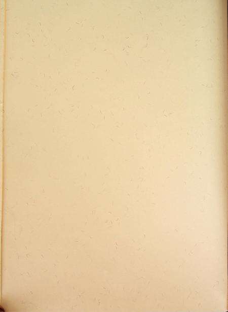 和龙年鉴（2016.12）.pdf电子版_吉林省志预览图3