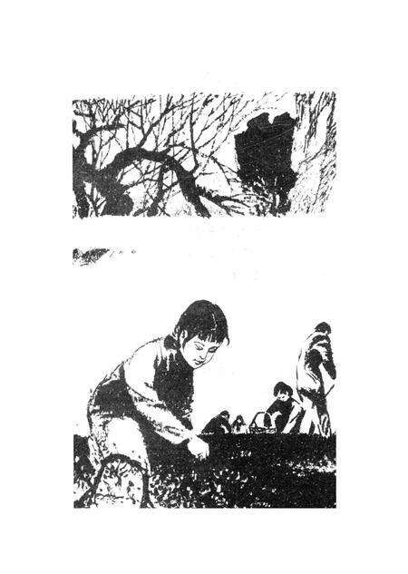 新疆绿洲第1996年第06期.pdf电子版_新疆维吾尔族自治区志预览图3