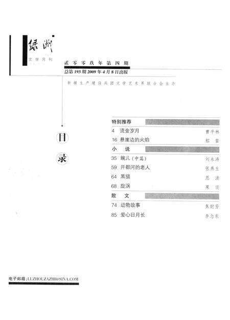 新疆绿洲第2009年第04期.pdf电子版_新疆维吾尔族自治区志预览图3