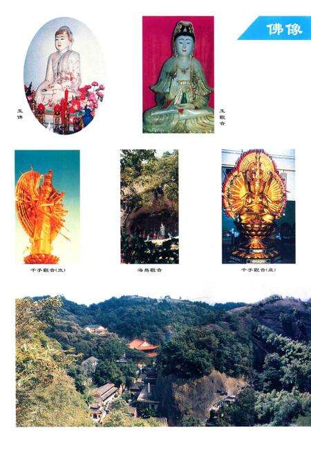 大佛寺志.pdf电子版_浙江省志预览图3