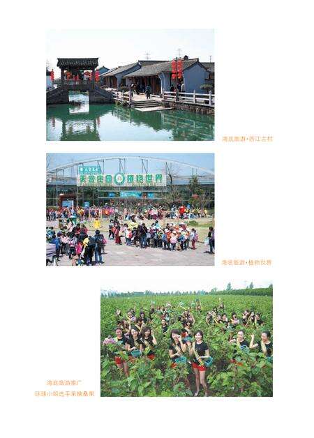 天宫庄园  湾底村志.pdf电子版_浙江省志预览图3