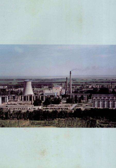 奎屯热电厂志.pdf电子版_新疆维吾尔自治区志预览图3