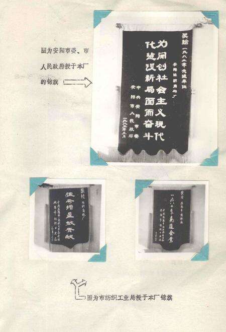 安阳丝织商标厂厂志.pdf电子版_河南省志预览图3