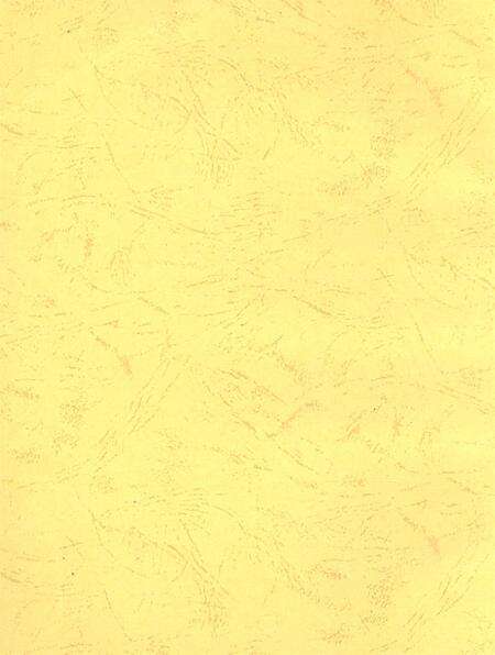 宝丰县政协志（1949～2010年）.pdf电子版_河南省志预览图3