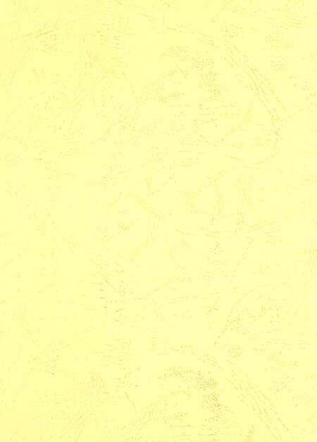 宝丰县财政志.pdf电子版_河南省志预览图3