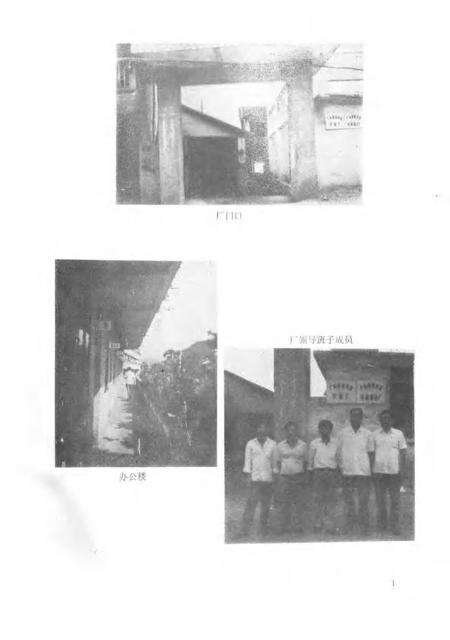 封开县牙签厂志.pdf电子版_广东省志预览图3