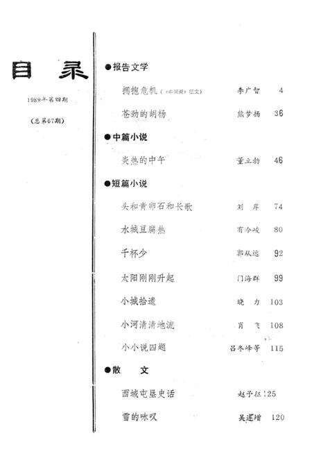 新疆绿洲1989年第04期.pdf电子版_新疆维吾尔族自治区志预览图3