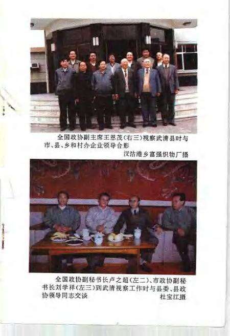 武清文史资料选辑  第6辑  1993.pdf电子版_天津市志预览图3