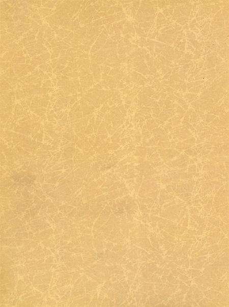 岳阳年鉴（2006）.pdf电子版_四川省志预览图3