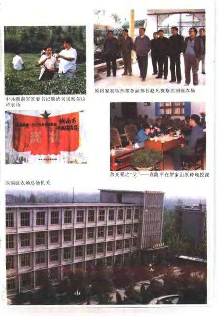 常德地区志  国营农场志.pdf电子版_湖南省志预览图3