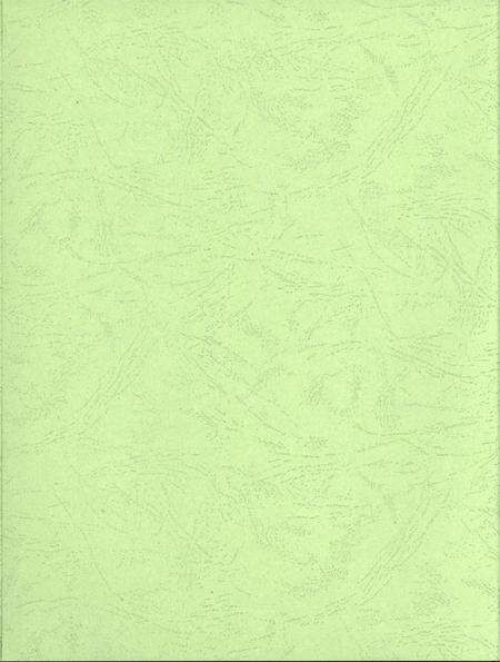 平顶山市卫东区年鉴（2015）.pdf电子版_河南省志预览图3