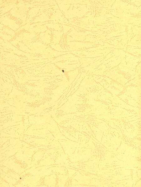 平顶山市精神文明建设年鉴（2006）.pdf电子版_河南省志预览图3