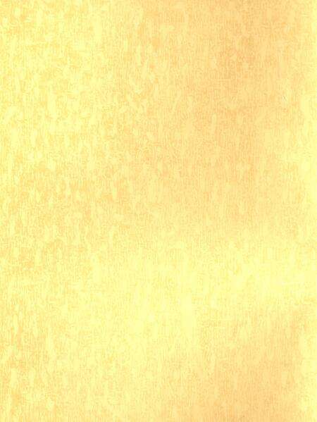 平顶山市精神文明建设年鉴（2008）.pdf电子版_河南省志预览图3