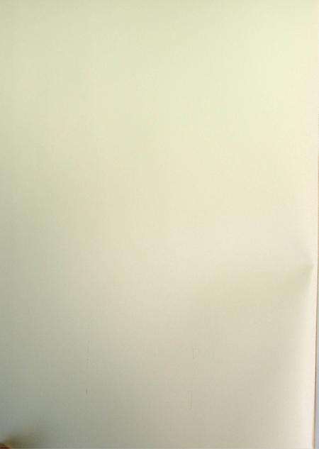 延边体育志（下）.pdf电子版_吉林省志预览图3