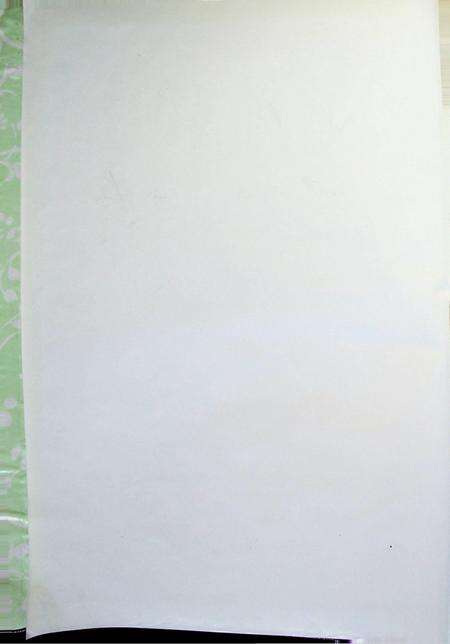 延边四十年.pdf电子版_吉林省志预览图3