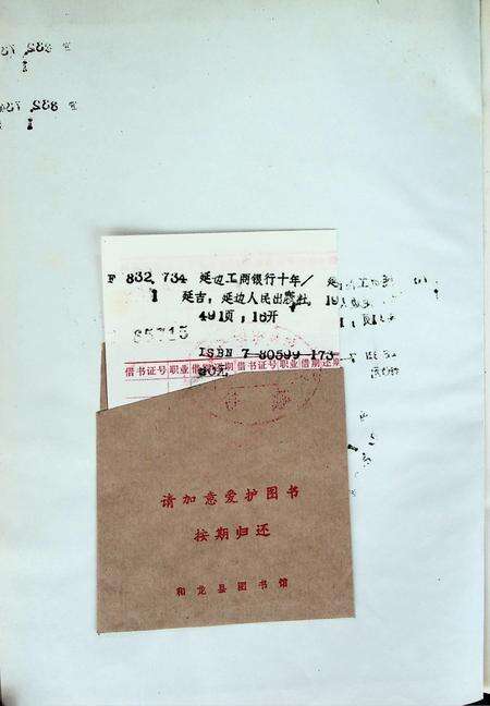 延边工商银行十年.pdf电子版_吉林省志预览图3