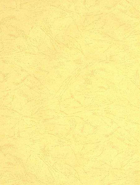 沧州教育年鉴 2009卷.pdf电子版_河北省志预览图3