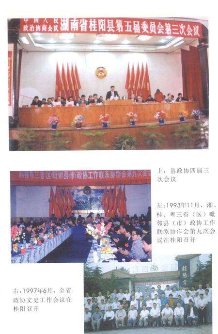桂阳县政协志1989-2000.pdf电子版_湖南省志预览图3