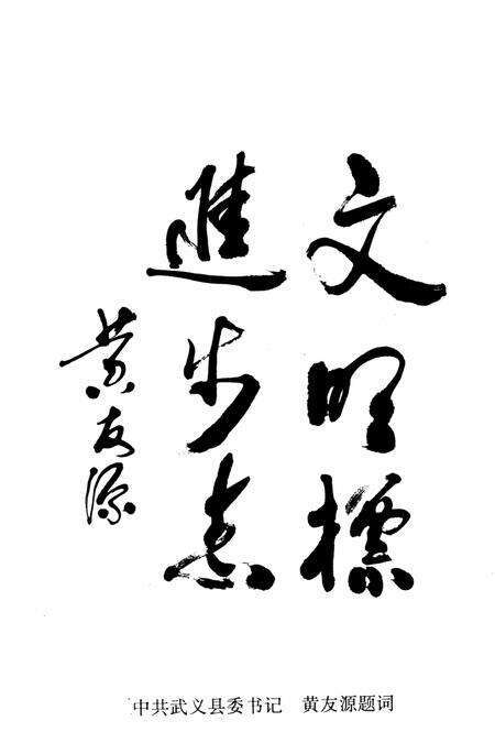 武义县文化志.pdf电子版_浙江省志预览图3