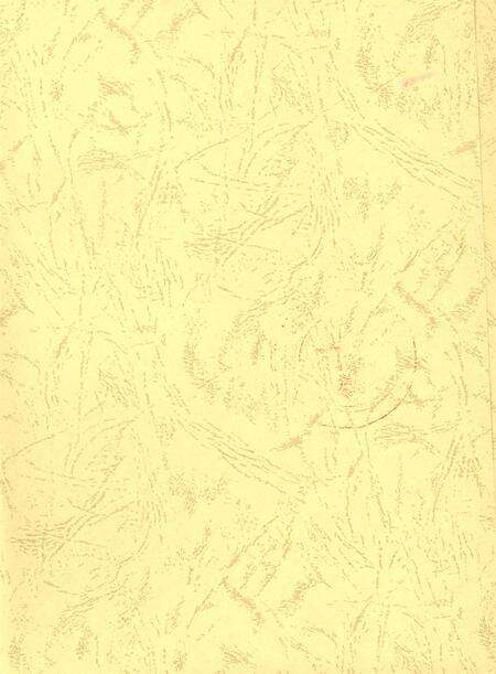 沧州年鉴 2010卷.pdf电子版_河北省志预览图3