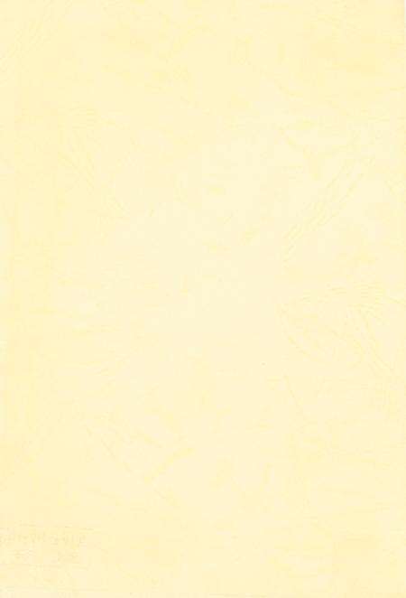 玉环年鉴2004.pdf电子版_浙江省志预览图3