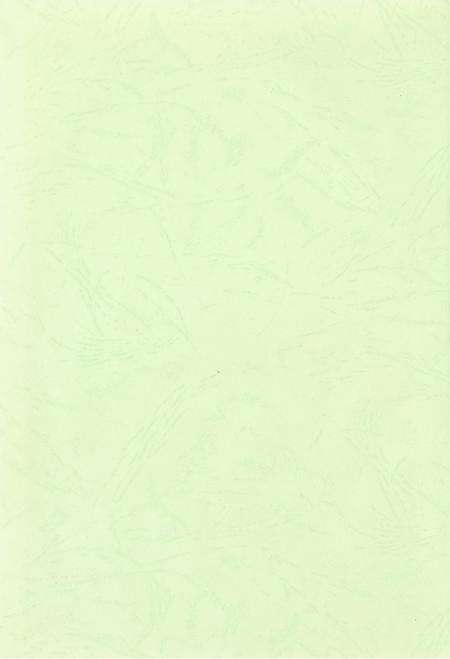 玉环年鉴2005.pdf电子版_浙江省志预览图3