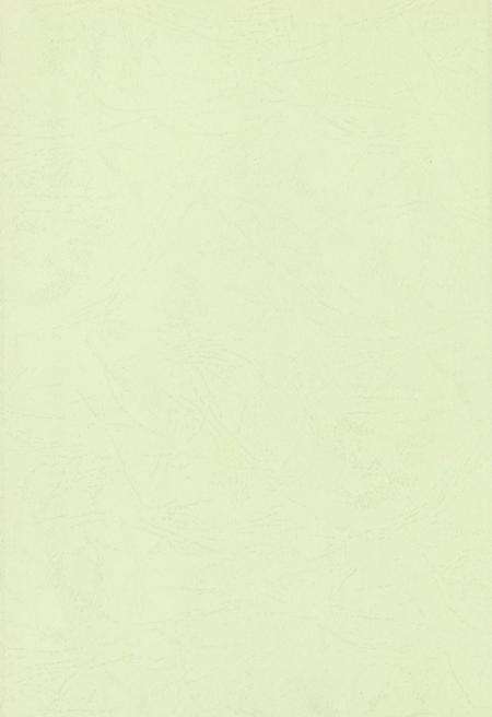 玉环年鉴2007.pdf电子版_浙江省志预览图3