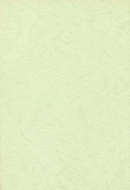 玉环年鉴2008.pdf电子版_浙江省志预览图3