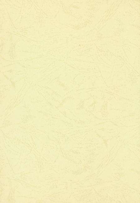 玉环年鉴2009.pdf电子版_浙江省志预览图3