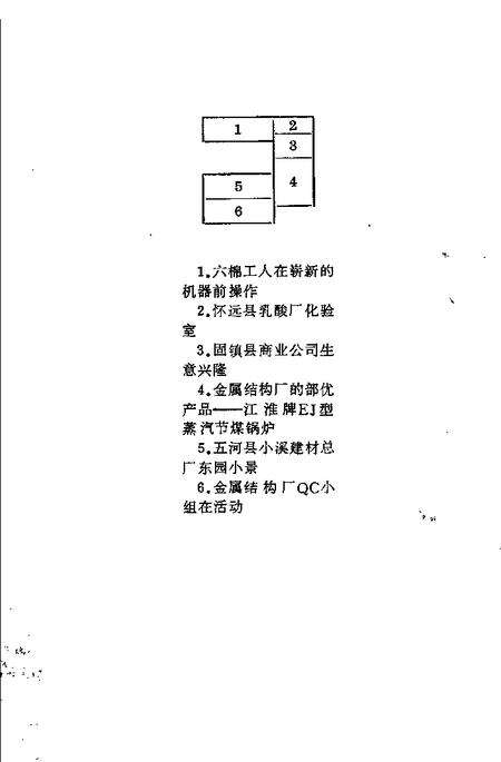 珠城一枝花  崛起的蚌埠乡镇企业.pdf电子版_安徽省志预览图3