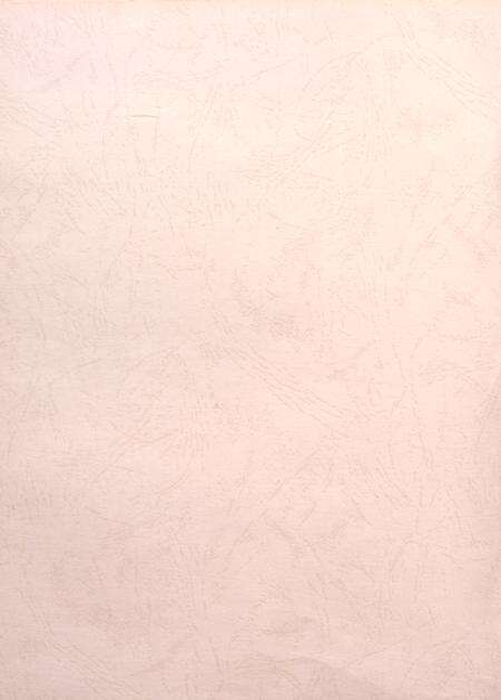 盐城年鉴 2008.pdf电子版_江苏省志预览图3